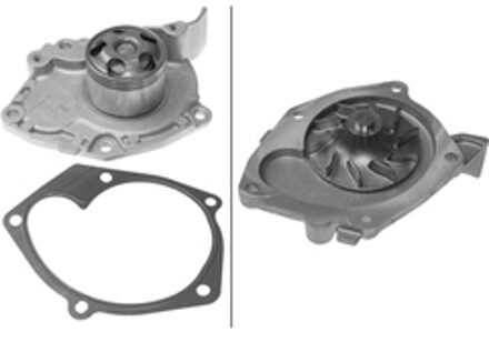 Nissan Waterpomp 538039310