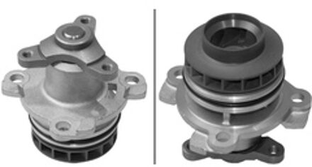 Nissan Waterpomp 538039710