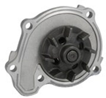 Nissan Waterpomp 538052310