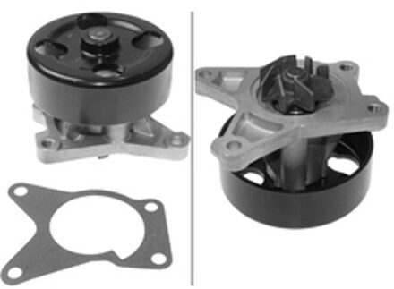 Nissan Waterpomp 538052410