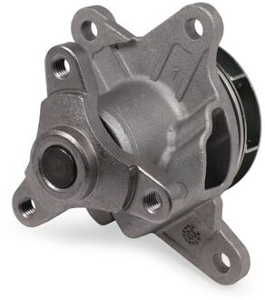 Nissan Waterpomp, motorkoeling P989