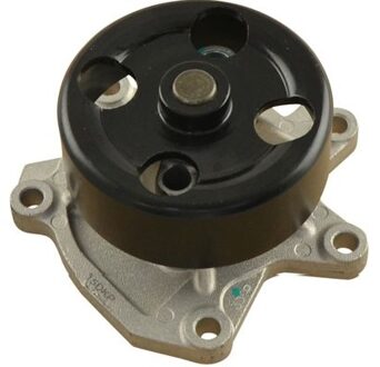 Nissan Waterpomp NW1285