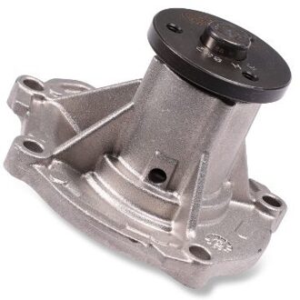 Nissan Waterpomp P7371