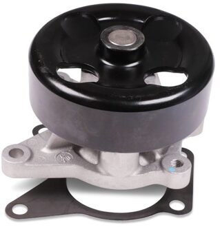 Nissan Waterpomp P7396