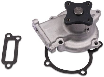 Nissan Waterpomp P743