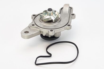 Nissan Waterpomp WPS3013