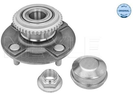 Nissan Wielnaaf 36147520000