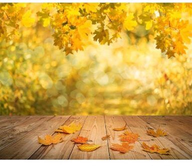 Nitree Fotostudio Props Houtnerf Matte Herfst Achtergronden Oogst Seizoen Vinyl Achtergrond Voor Product Display Fotografie 210cmX150cm height