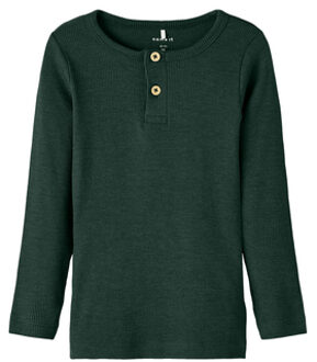 Nmmkab Pine Grove shirt met lange mouwen Groen - 104