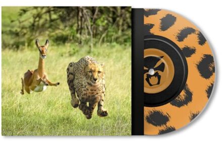 No More Lies - Thundercat & Tame Impala