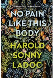 No Pain Like This Body - Harold Sonny Ladoo