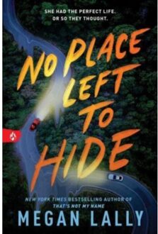 No Place Left To Hide - Megan Lally