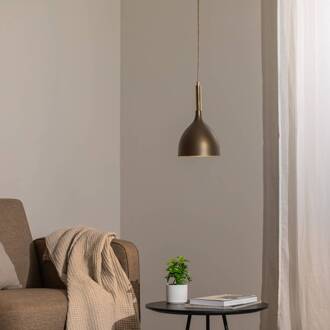 Noak hanglamp, 1-lamp, titanium-goud/goud, staal titaan-goud, goud