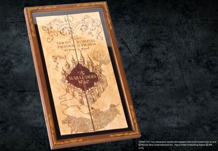 Noble Collection Marauder Map display case