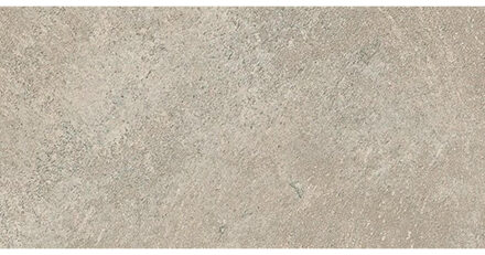 Nobu wand- en vloertegel - 30x60cm - gerectificeerd - Natuursteen look - Grey mat (grijs) SW07314675-1