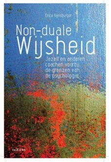 Non duale wijsheid - Boek Erica Rijnsburger (9077908137)