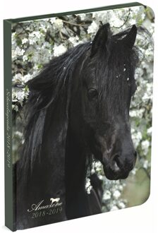 Non-License Schoolagenda 2018 Paarden
