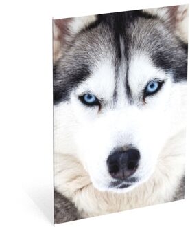 Non-License Schrift Wood husky A4 geruit