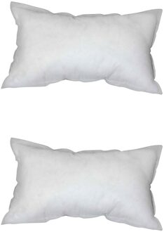 Non-woven Kussen Kussen Kern Kussen Interieur Home Decor Wit Ergonomisch Nekkussen 35X55cm Geheugen Kussen Voor Cervicale Gezondheid 2stk