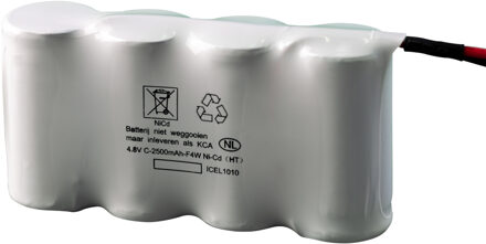 Noodverlichtingsaccu C SBS 4.8V 2.5Ah