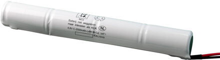 Noodverlichtingsaccu C Stick 4.8V 2.5Ah