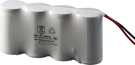 Noodverlichtingsaccu D SBS 4.8V 4.5Ah