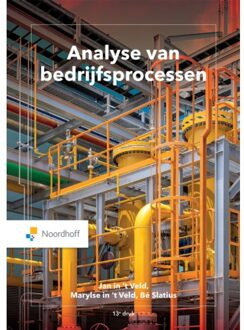 Noordhoff Analyse Van Bedrijfsprocessen - Marlyse in 't Veld