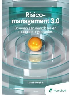 Noordhoff Dynamisch Risicomanagement - 1e Editie - P. Claes