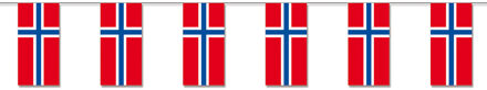 Noorse feest vlaggetjes Multi