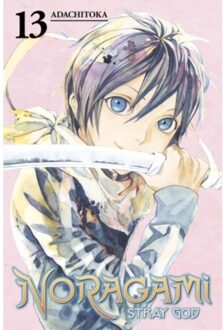 Noragami Volume 13