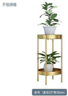 Nordic Metalen Plant Stand 2-Band Gouden Bloem Metalen Stand Office Home Iron Plant Stand Wit Metalen Tuin Decors metalen Rekken goud 25x50cm