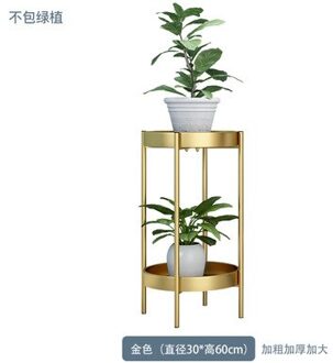 Nordic Metalen Plant Stand 2-Band Gouden Bloem Metalen Stand Office Home Iron Plant Stand Wit Metalen Tuin Decors metalen Rekken goud 30x60cm