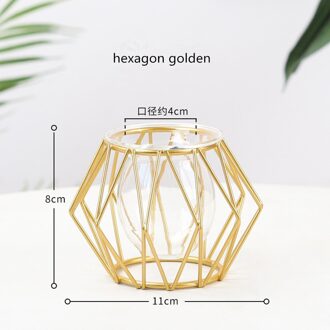 Nordic Stijl Gouden Zwart Glas Hydrocultuur Ijzer Lijn Bloem Vaas Metal Plant Houder Vazen Ornament Moderne Home Decor zeshoek gouden