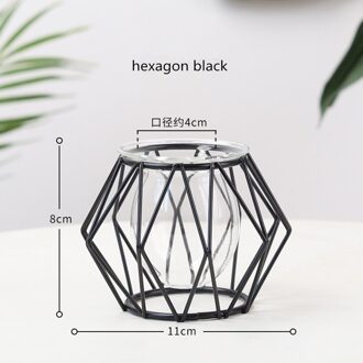Nordic Stijl Gouden Zwart Glas Hydrocultuur Ijzer Lijn Bloem Vaas Metal Plant Houder Vazen Ornament Moderne Home Decor zeshoek zwart