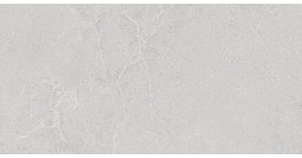 Norwich wand- en vloertegel - 60x120cm - gerectificeerd - Betonlook - Pearl mat (grijs) SW07312463