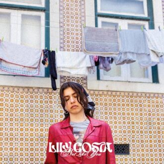 Not Like You - Lily Costa