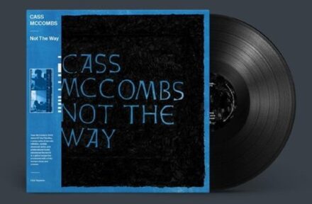 Not The Way - Cass Mccombs