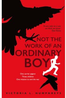 Not The Work Of An Ordinary Boy - Victoria L. Humphreys