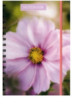 Notebook Pink Cosmos