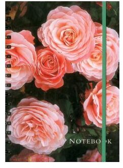 Notebook Rose