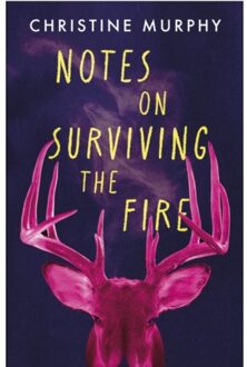 Notes On Surviving The Fire - Christine Murphy