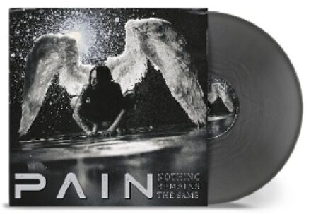 Nothing Remains The Same - Pain