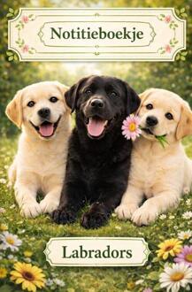 Notitieboekje, Labradors -  H. Mourits (ISBN: 9789465382326)