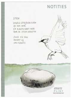 Notitieschriftje Steen - Plint