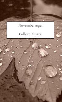 Novemberregen -  Gilbert Keyzer (ISBN: 9789464923407)
