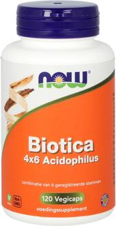 Now Biotica 4x6 Acidophilus