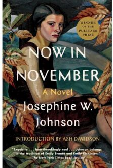 Now In November - Josephine Johnson