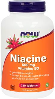 Now Niacine 500 mg
