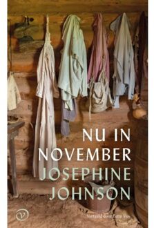 Nu In November - Josephine Johnson