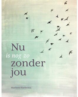 Nu is nog zo zonder jou - Boek Marloes Harkema (9491687557)